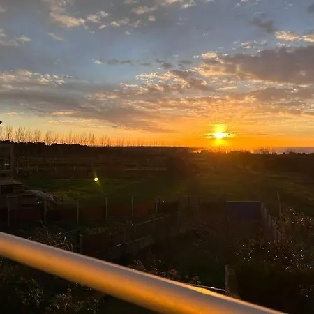 Blanca Manana * Ribeira